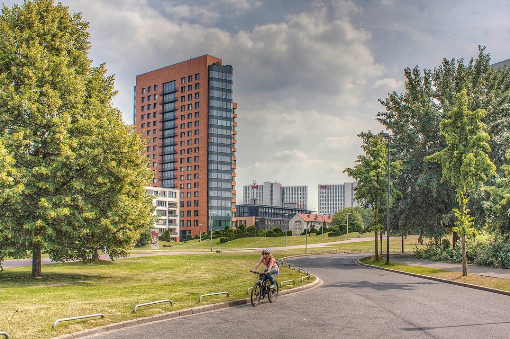 Rene Wildgrube Düsseldorf